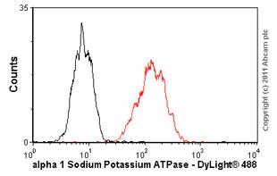 Flow Cytometry - Anti-alpha 1 Sodium Potassium ATPase antibody [M8-P1-A3] - Plasma Membrane Loading Control (AB2872)