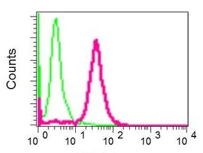 Flow Cytometry (Intracellular) - Anti-alpha 1 Spectrin antibody [EPR9300] - BSA and Azide free (AB248875)