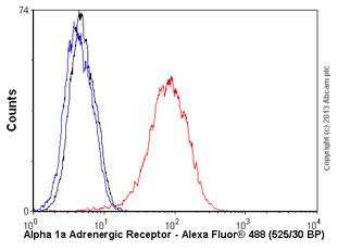 Flow Cytometry (Intracellular) - Anti-alpha 1a Adrenergic Receptor/ADRA1A antibody [EPR9691(B)] (AB137123), expandable thumbnail