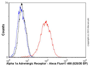 Flow Cytometry (Intracellular) - Anti-alpha 1a Adrenergic Receptor/ADRA1A antibody [EPR9691(B)] - BSA and Azide free (AB238923)