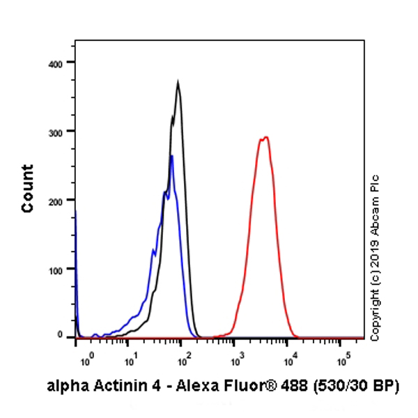 Flow Cytometry (Intracellular) - Anti-alpha Actinin 4 antibody [EPR2533(2)] - Loading Control (AB108198), expandable thumbnail