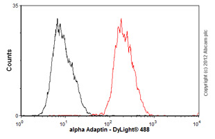 Anti-alpha Adaptin antibody [AC1-M11]