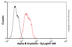 Flow Cytometry - Anti-Alpha B Crystallin antibody [1B6.1-3G4] (AB13496), expandable thumbnail