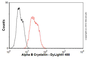 Flow Cytometry - Anti-Alpha B Crystallin antibody [1B6.1-3G4] (AB13496)