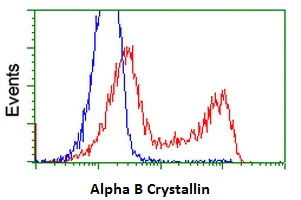 Flow Cytometry (Intracellular) - Anti-Alpha B Crystallin antibody [6D11] (AB230722)