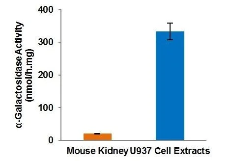 Functional Studies - Alpha Galactosidase Activity Assay Kit (AB239716)
