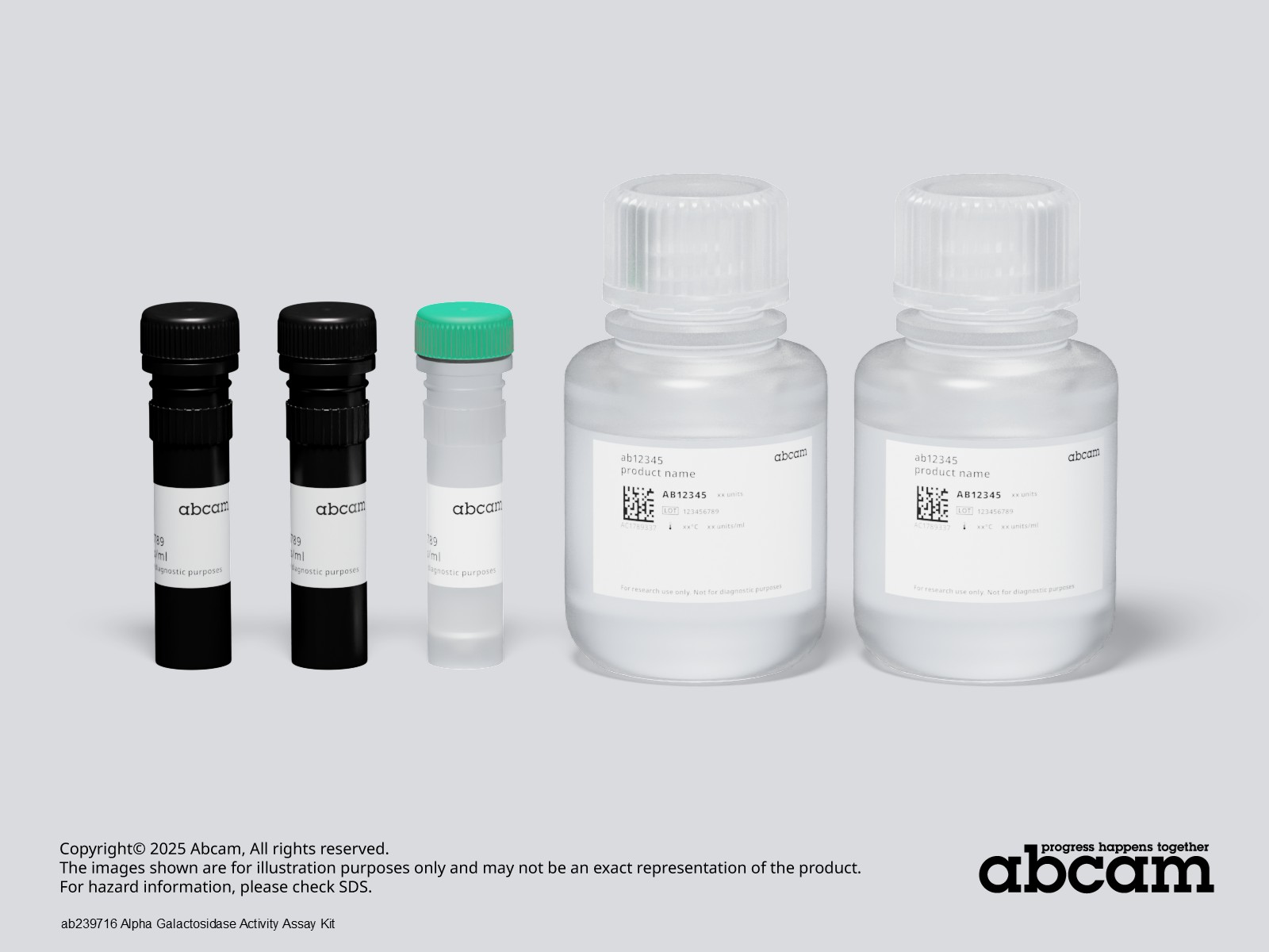 Alpha Galactosidase Activity Assay Kit (ab239716/K407-100) | アブカム