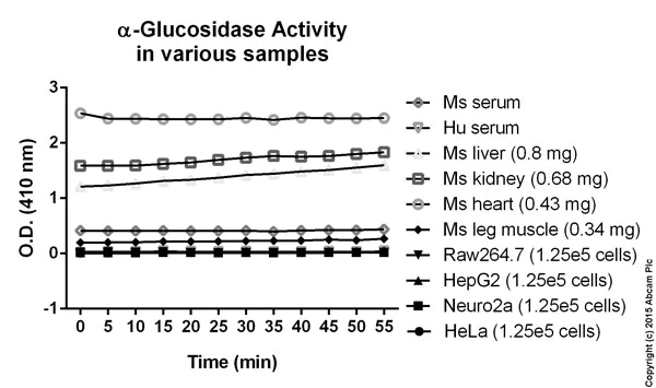 Functional Studies - Alpha-Glucosidase Activity Assay Kit (Colorimetric) (AB174093)