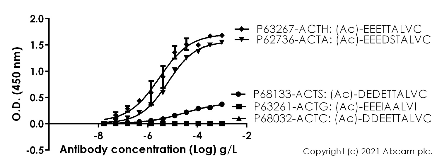 ELISA - Anti-alpha smooth muscle Actin (acetyl E3) + ACTG2 (acetyl E3) antibody [E184] (ab32575), expandable thumbnail