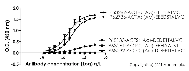 ELISA - Anti-alpha smooth muscle Actin (acetyl E3) + ACTG2 (acetyl E3) antibody [E184] (AB32575)