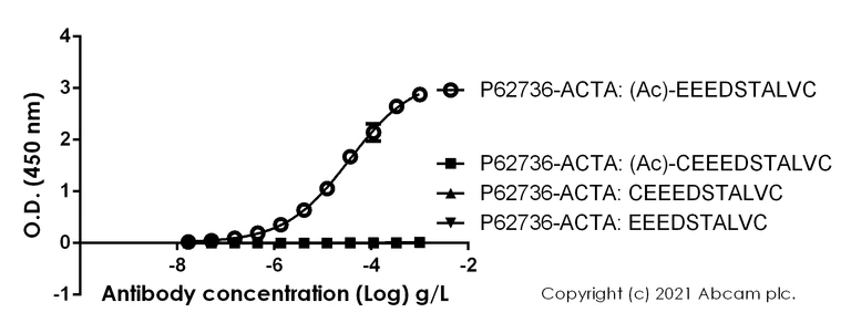 ELISA - Anti-alpha smooth muscle Actin (acetyl E3) + ACTG2 (acetyl E3) antibody [E184] - BSA and Azide free (AB215368)