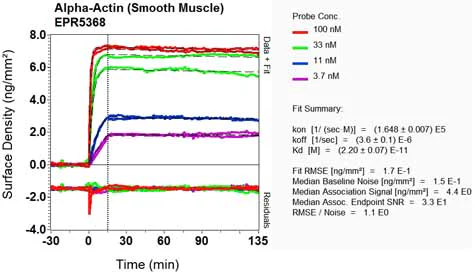 OI-RD Scanning - Anti-alpha smooth muscle Actin antibody [EPR5368] - BSA and Azide free (AB220795)