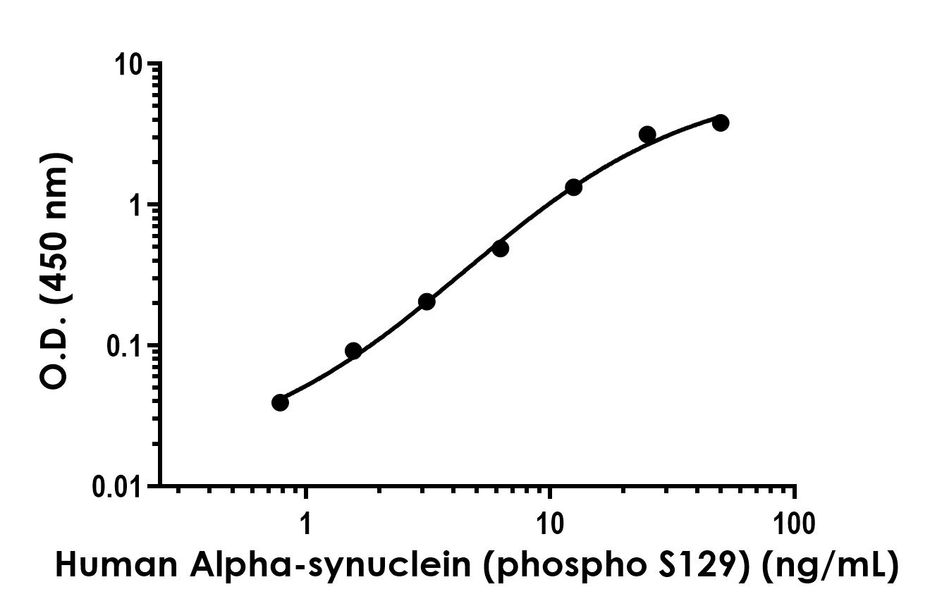 Sandwich ELISA - Anti-Alpha-synuclein antibody [MJFR1] - BSA and Azide free (Capture/Detector) (AB259612), expandable thumbnail