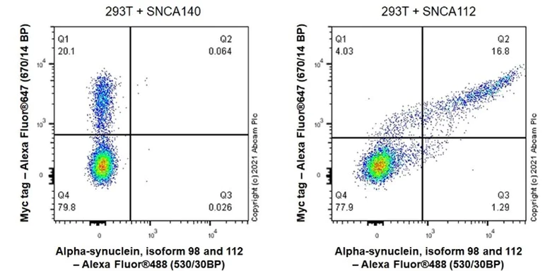 Flow Cytometry (Intracellular) - Anti-Alpha-synuclein, isoform 98 and 112 antibody [EPR25115-65] - BSA and Azide free (AB288163)