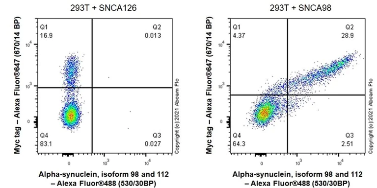 Flow Cytometry (Intracellular) - Anti-Alpha-synuclein, isoform 98 and 112 antibody [EPR25115-65] - BSA and Azide free (AB288163)