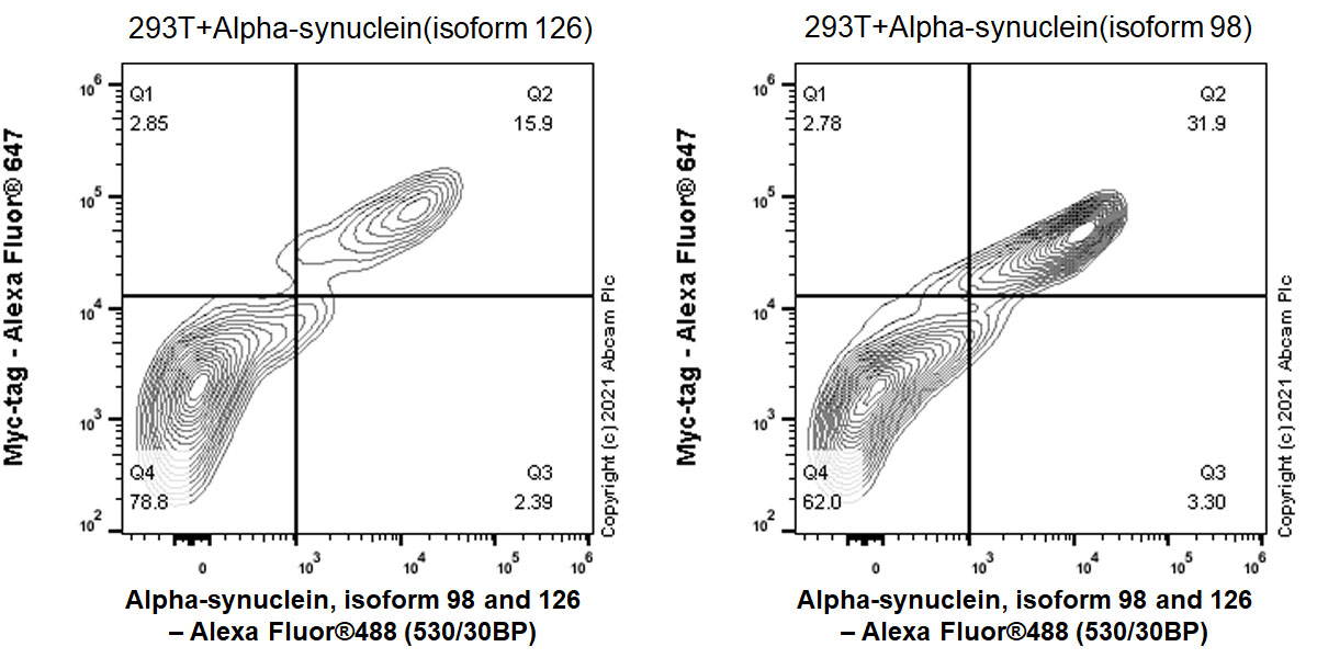 Flow Cytometry (Intracellular) - Anti-Alpha-synuclein, isoform 98 and 126 antibody [EPR25117-81] (ab290644), expandable thumbnail