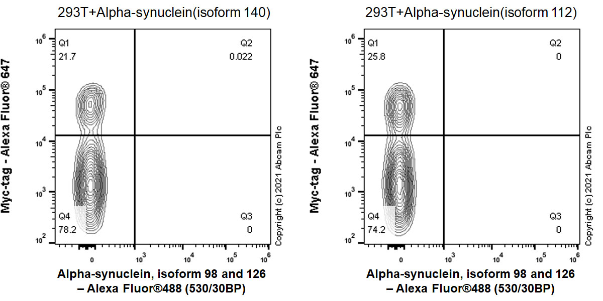 Flow Cytometry (Intracellular) - Anti-Alpha-synuclein, isoform 98 and 126 antibody [EPR25117-81] (AB290644), expandable thumbnail