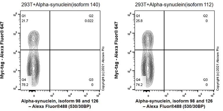 Flow Cytometry (Intracellular) - Anti-Alpha-synuclein, isoform 98 and 126 antibody [EPR25117-81] (AB290644)