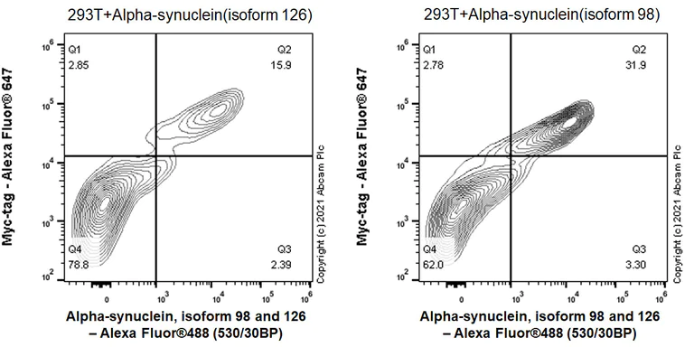 Flow Cytometry (Intracellular) - Anti-Alpha-synuclein, isoform 98 and 126 antibody [EPR25117-81] - BSA and Azide free (AB290655)