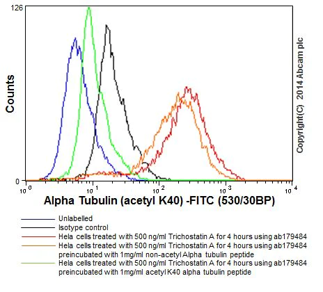 Flow Cytometry (Intracellular) - Anti-alpha Tubulin (acetyl K40) antibody [EPR16772] - BSA and Azide free (AB209348)