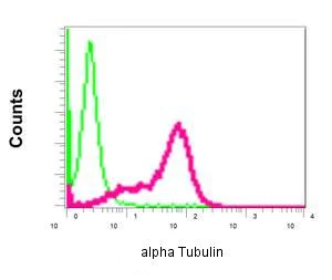 Flow Cytometry (Intracellular) - Anti-alpha Tubulin antibody [EPR13478(B)] - Loading Control (AB176560)
