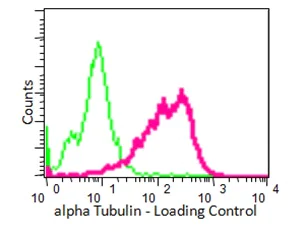 Flow Cytometry (Intracellular) - Anti-alpha Tubulin antibody [EPR13478(B)] - Loading Control (AB176560)