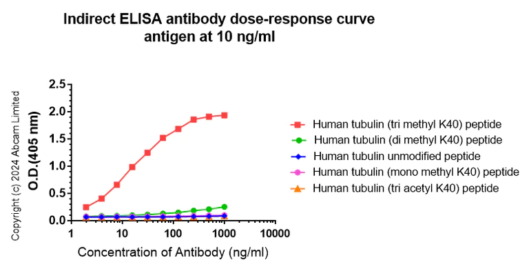 Indirect ELISA - Anti-alpha Tubulin (tri methyl K40) antibody [18-6] - BSA and Azide free (AB324758)