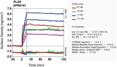 OI-RD Scanning - Anti-ALPP+ALPG+ALPI antibody [EPR6141] - BSA and Azide free (AB220315)