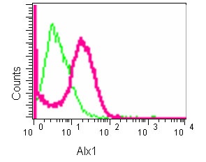 Flow Cytometry (Intracellular) - Anti-Alx1 antibody [EPR11331] - BSA and Azide free (AB250348), expandable thumbnail