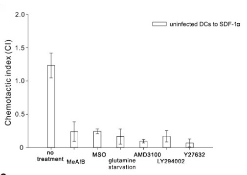 Functional Studies (Act) - AMD3100 octahydrochloride, CXCR4 antagonist (AB120718)