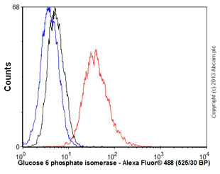 Flow Cytometry - Anti-AMF antibody [1B7D7] (AB66340)