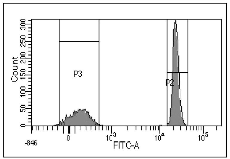 Flow Cytometry - Amine-Reactive Dye Compensation Beads Kit (7-7.9 µm) (AB322702)