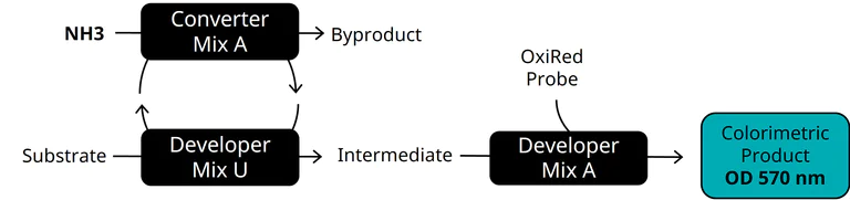 Functional Studies - Ammonia Assay Kit (AB83360)