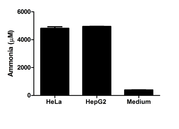 Functional Studies - Ammonia Assay Kit (AB83360)