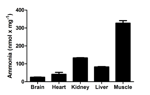 Functional Studies - Ammonia Assay Kit (AB83360)