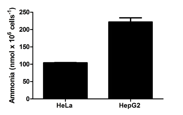 Functional Studies - Ammonia Assay Kit (AB83360)