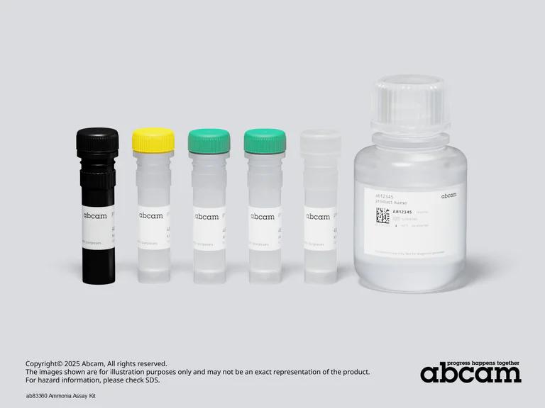 Schematic Diagram - Ammonia Assay Kit (AB83360)
