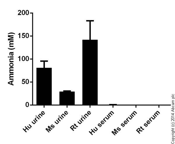 Functional Studies - Ammonia Assay Kit - Modified Berthelot - (Colorimetric) (AB102509)