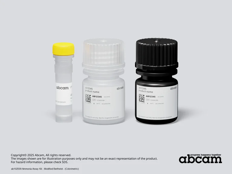 Schematic Diagram - Ammonia Assay Kit - Modified Berthelot - (Colorimetric) (AB102509)