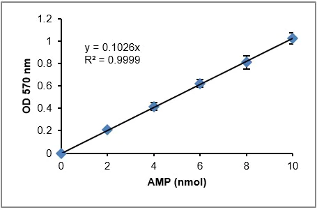 Functional Studies - AMP Assay Kit (Colorimetric) (AB273275)