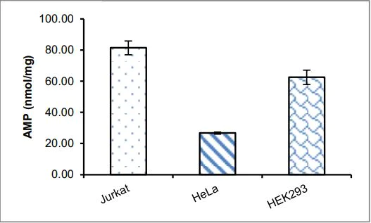 Functional Studies - AMP Assay Kit (Colorimetric) (AB273275)