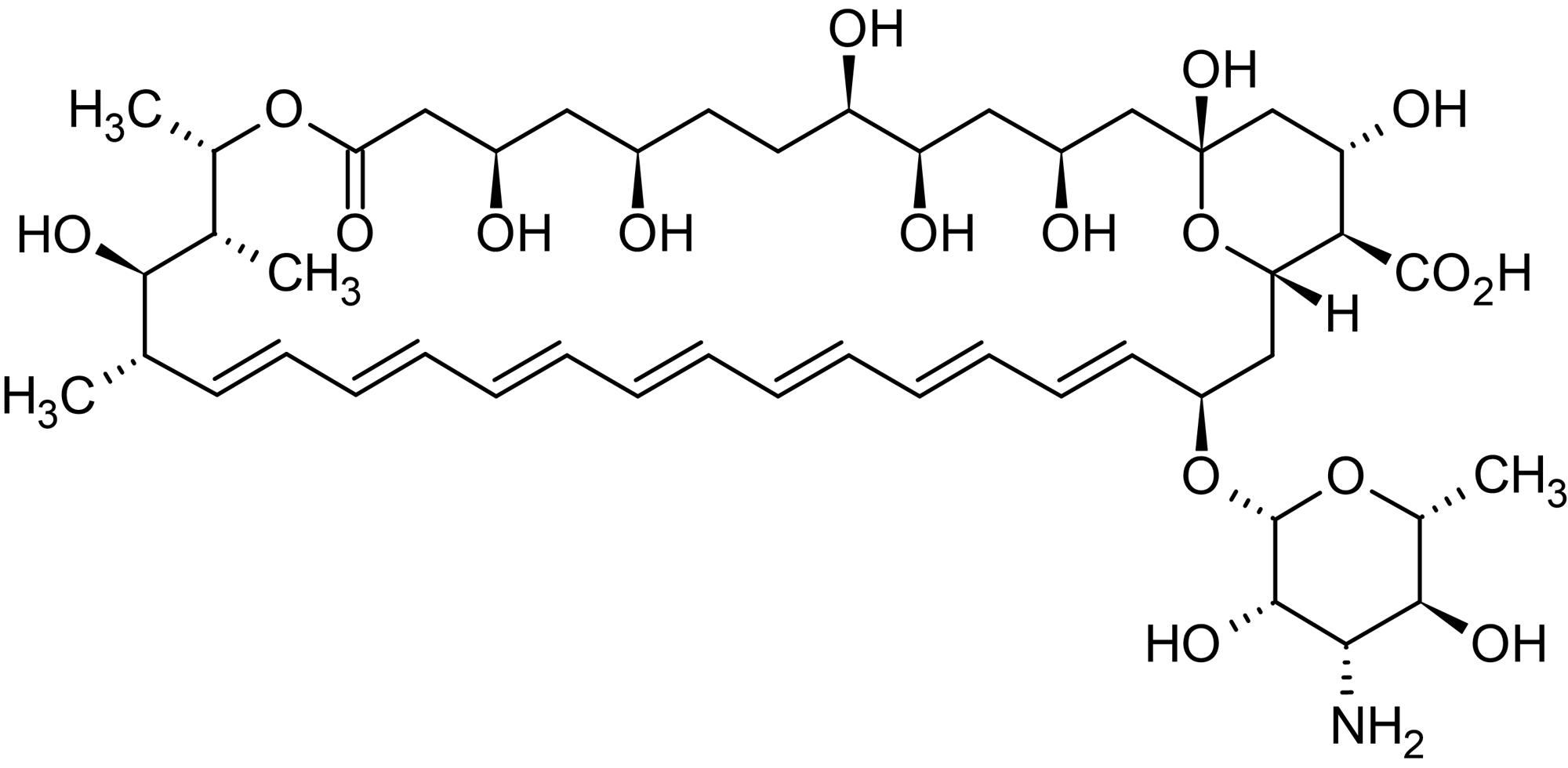 Chemical Structure - Amphotericin B (AmB), Antimycotic polyene (AB141199)