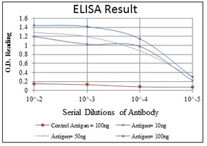 ELISA - Anti-AMPK alpha 1 antibody [2B7] (AB110036)