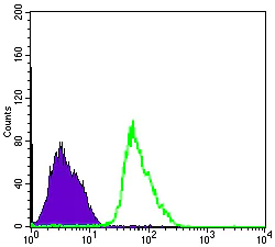Flow Cytometry - Anti-AMPK alpha 1 antibody [2B7] (AB110036)