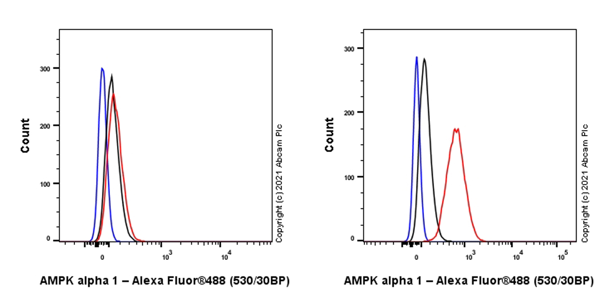 Flow Cytometry (Intracellular) - Anti-AMPK alpha 1 antibody [EPR24413-70] (AB271188)