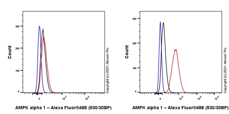 Flow Cytometry (Intracellular) - Anti-AMPK alpha 1 antibody [EPR24413-70] (AB271188)