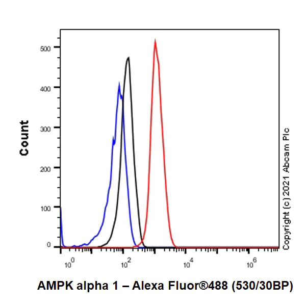 Flow Cytometry (Intracellular) - Anti-AMPK alpha 1 antibody [EPR24413-70] (AB271188)