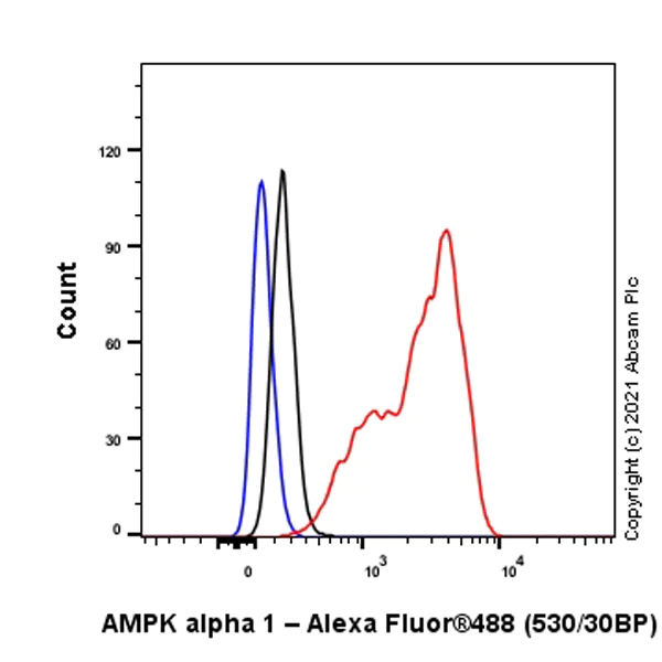 Flow Cytometry (Intracellular) - Anti-AMPK alpha 1 antibody [EPR24413-70] - BSA and Azide free (AB288572)