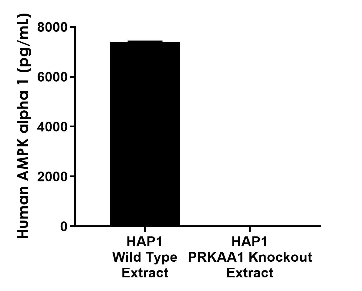 Sandwich ELISA - Anti-AMPK alpha 1 antibody [EPR26792-34] - BSA and Azide free (Detector) (AB316834), expandable thumbnail