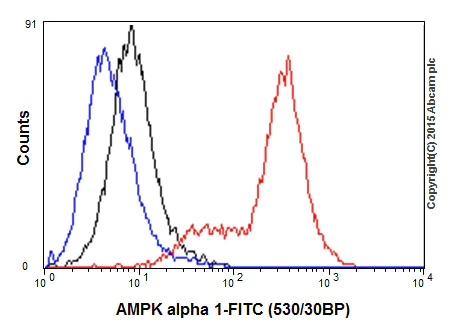 Flow Cytometry (Intracellular) - Anti-AMPK alpha 1 antibody [Y365] (AB32047)